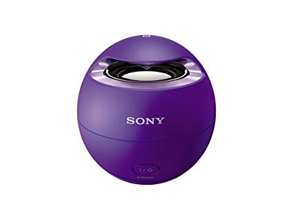 Sony SRS-X1-V Bluetooth Wireless Speaker System